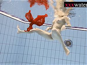 magnificent scorching damsel swimming in the pool